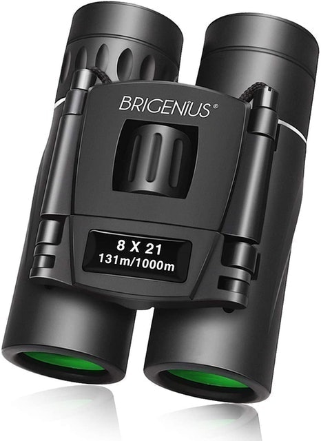 Best pocket binoculars sales for bird watching