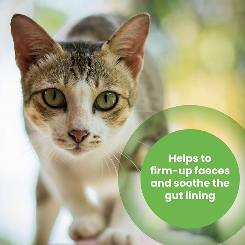 Probiotic Paste For Cats And Dogs 4