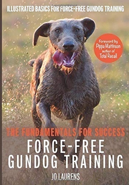 Force-Free Gundog Training 1