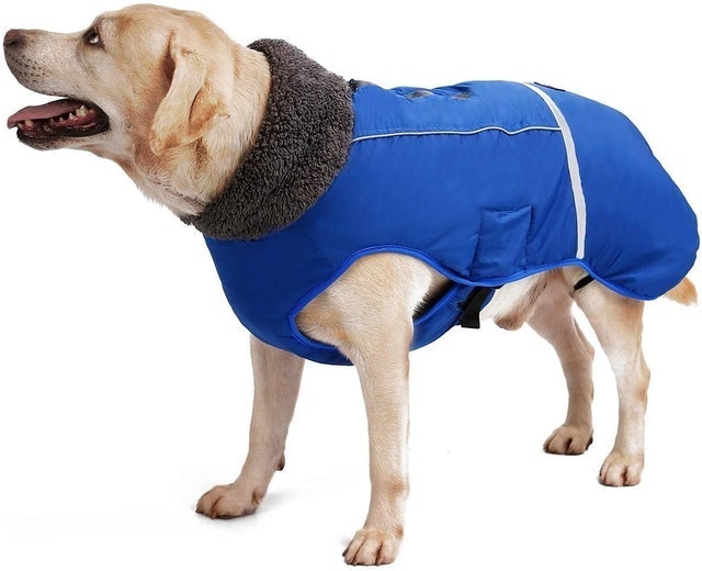 Waterproof Fleece Dog Coat 2