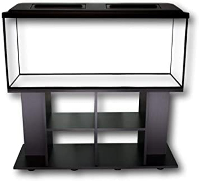 Professional Fish Tank 1