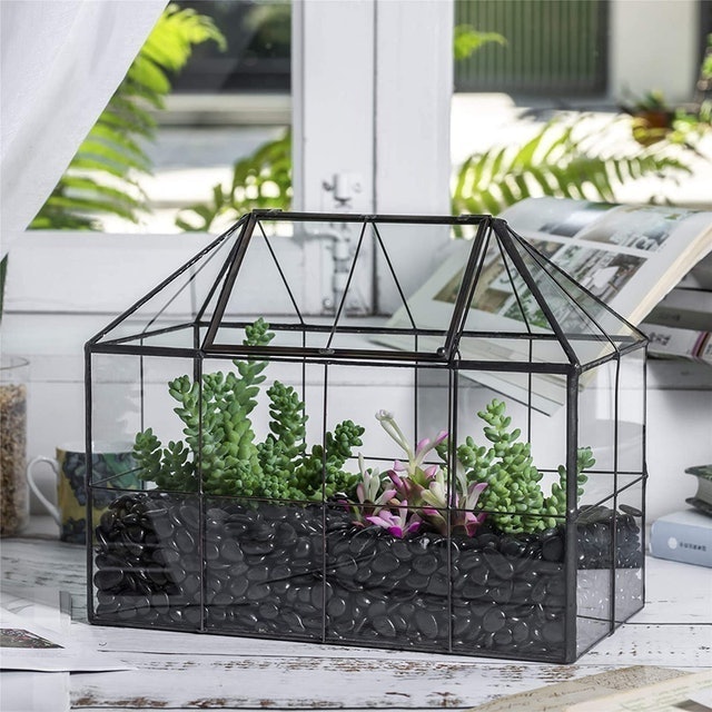 Vintage Style Geometric Terrarium 2