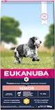 10 Best Senior Dog Foods 2024 | UK Veterinary Surgeon Reviewed 4