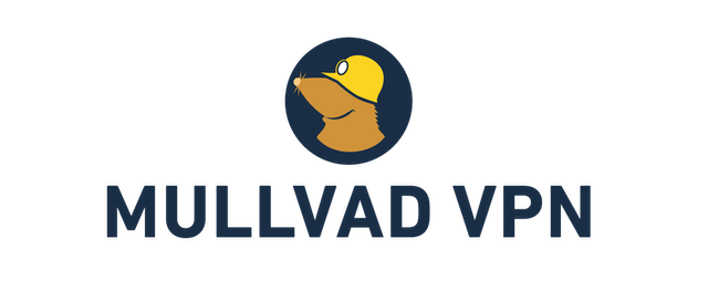 VPN Software 1