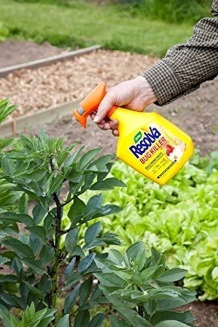 Bug Killer 2