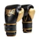 Everlast Boxing Gloves Powerlock 1