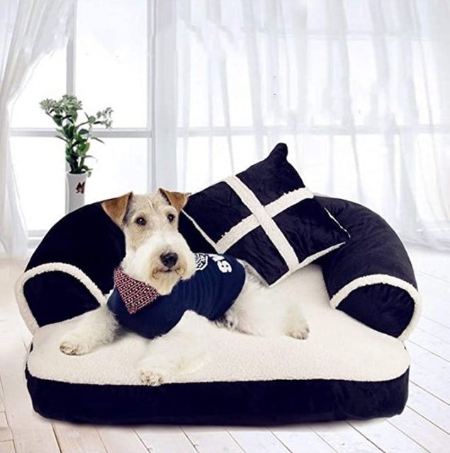 Dog Sofa 1
