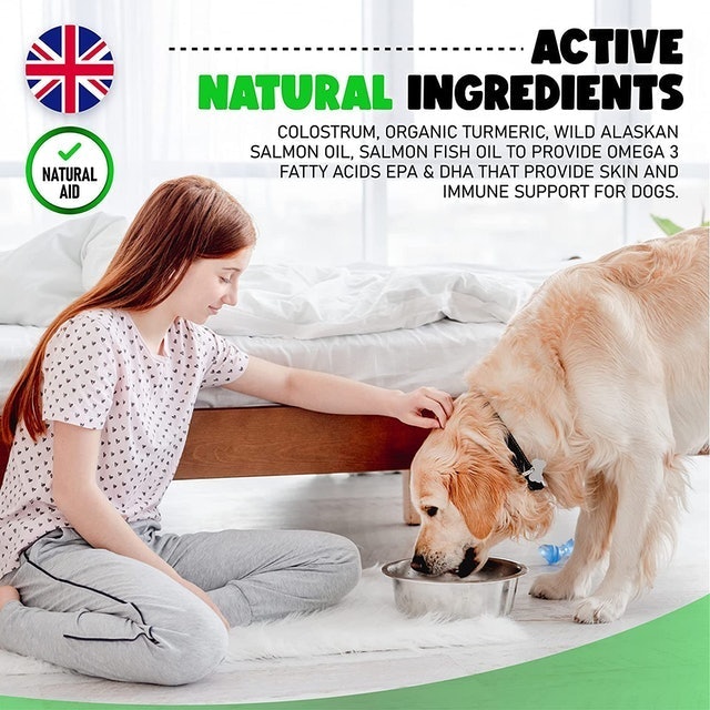 Doggy Dailies Probiotics for Dogs 4