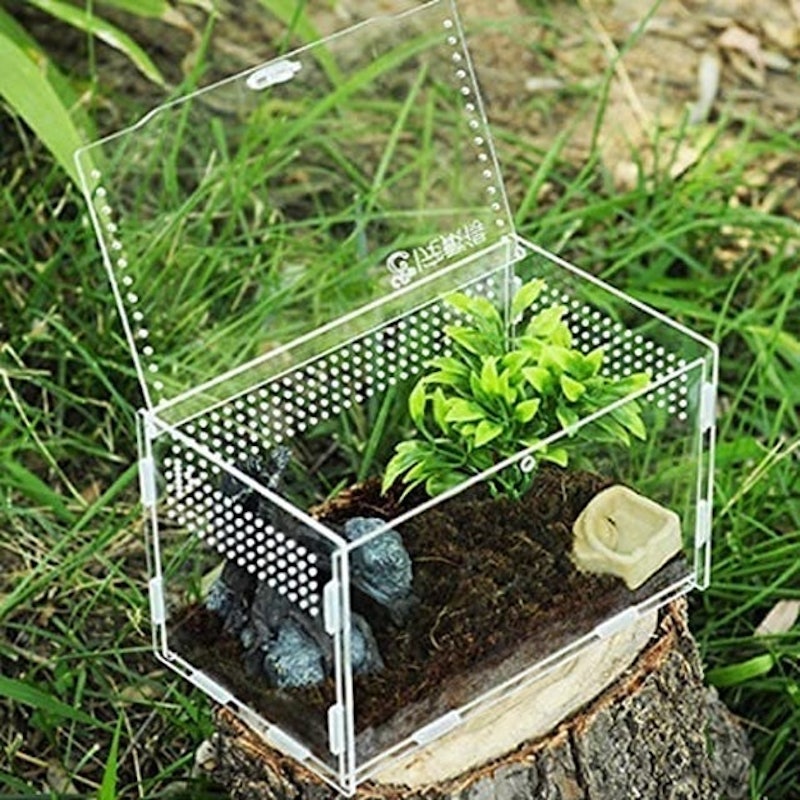 Terrarium Containers 2