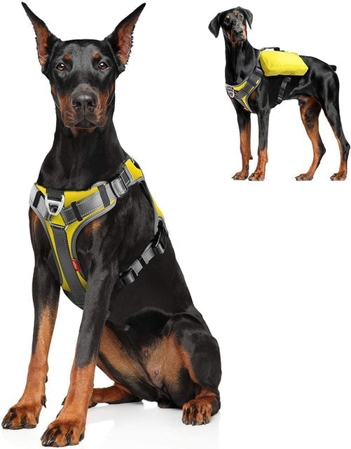 Dog Harness Backpack 1