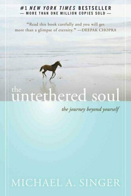 The Untethered Soul: The Journey Beyond Yourself 1