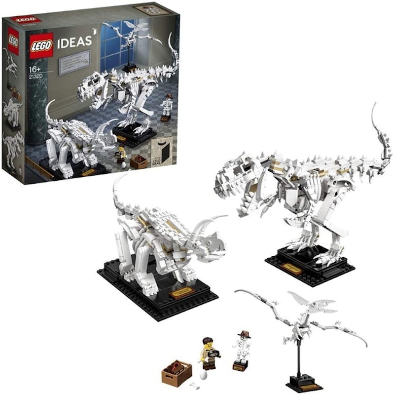 Ideas Dinosaur Fossils 1