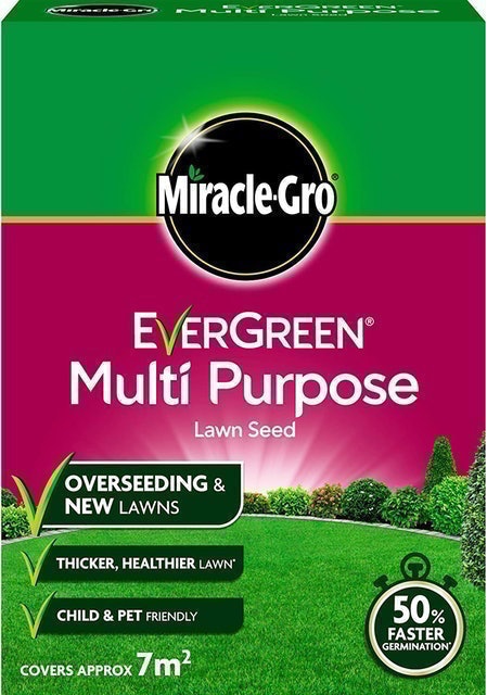 10 Best Grass Seeds UK 2024 | Miracle-Gro, The Grass People and More 5