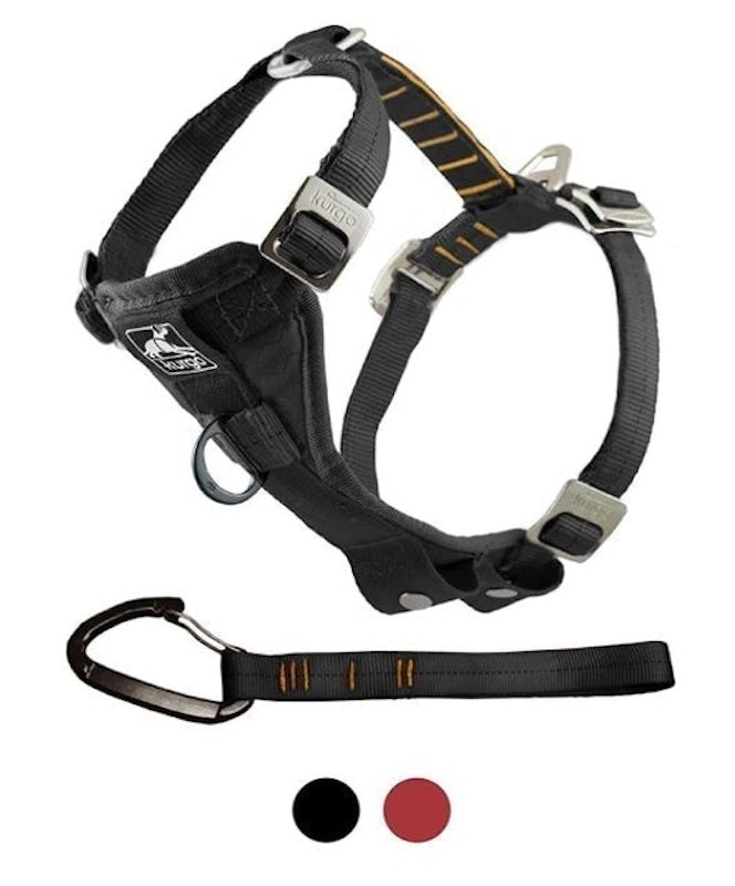 Car Harness 1