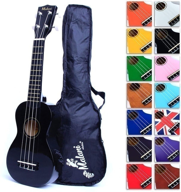 Beginner Ukulele 1