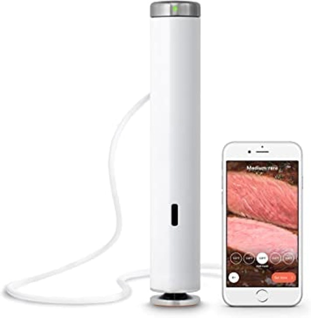 Joule Sous Vide 1