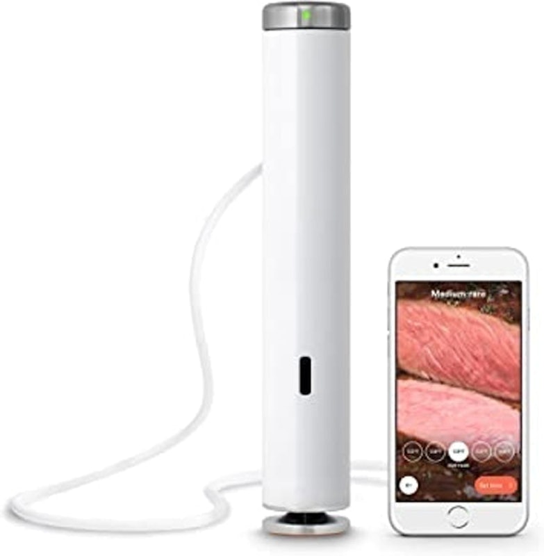 Joule Sous Vide 1