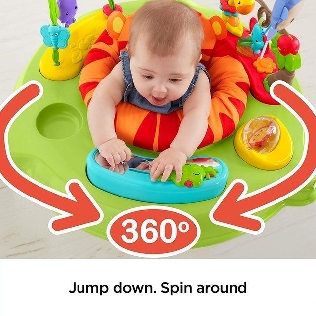 Rainforest Jumperoo  3