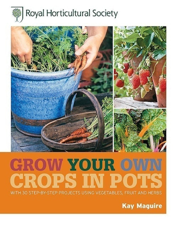 Grow Your Own Crops in Pots 1