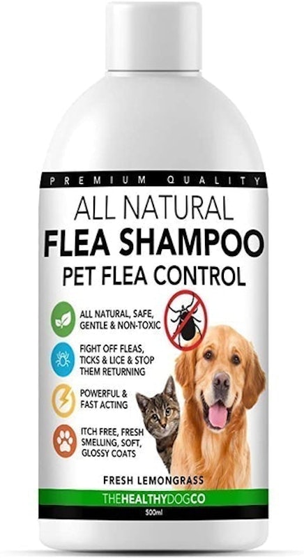 Flea Shampoo for Dogs & Cats 1