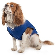 Cooling Coat