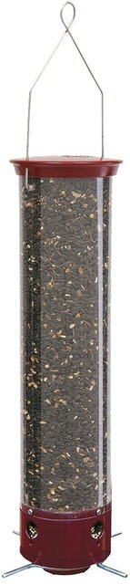 10 Best Squirrel-Proof Bird Feeders UK 2024 2