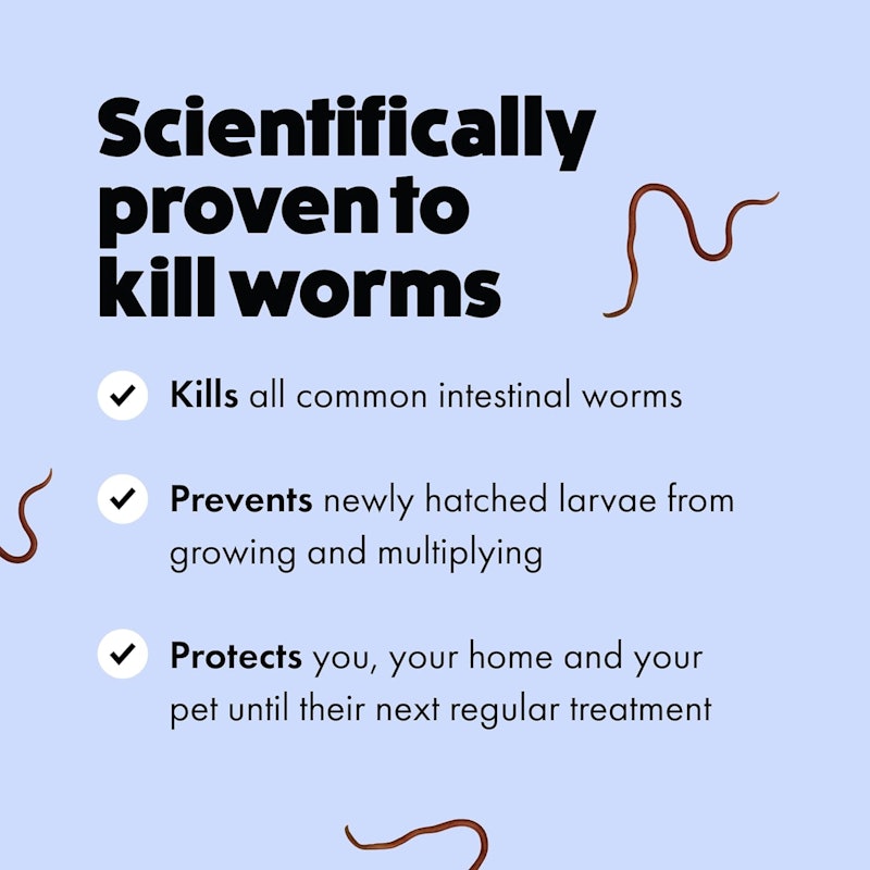 Itch | Worming Tablets for Dogs 3