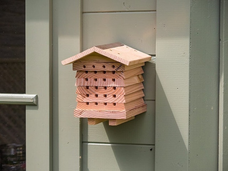 Solitary Bee Hive 3