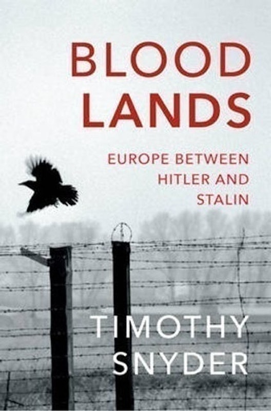 Bloodlands: Europe between Hitler and Stalin 1