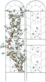 10 Best Garden Trellises UK 2024 5
