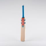 5 Best Cricket Bats UK 2024 | Kashmir and English Willow With Grades 5 to 1 4