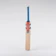 Gray Nicolls Vapour Thunder 1