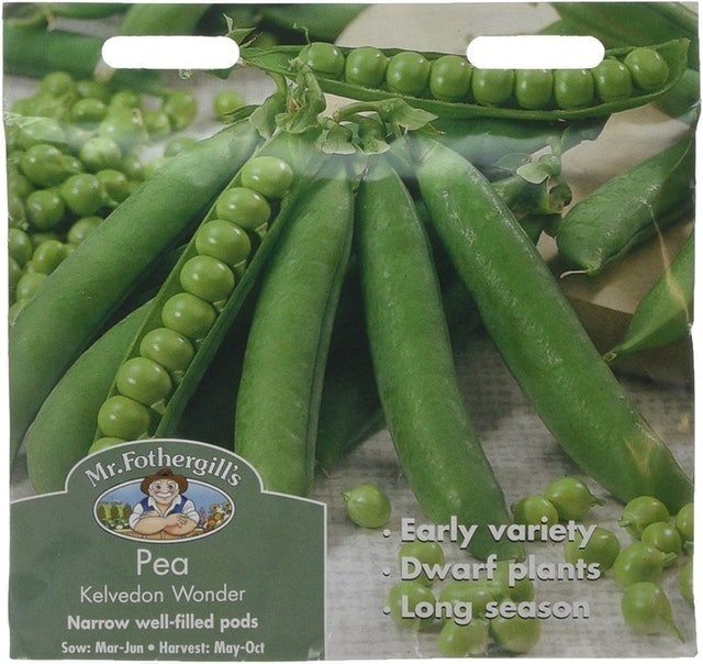 Pea Seeds  1