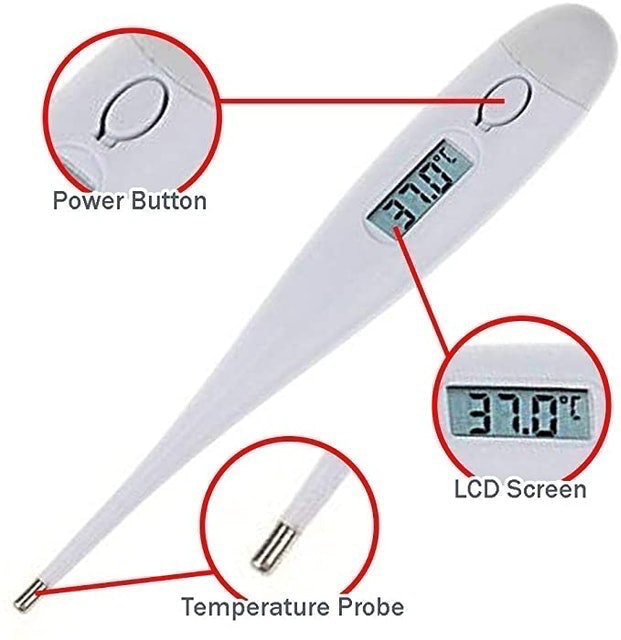 Clinical Oral Thermometer 2