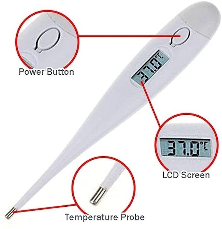 Clinical Oral Thermometer 2