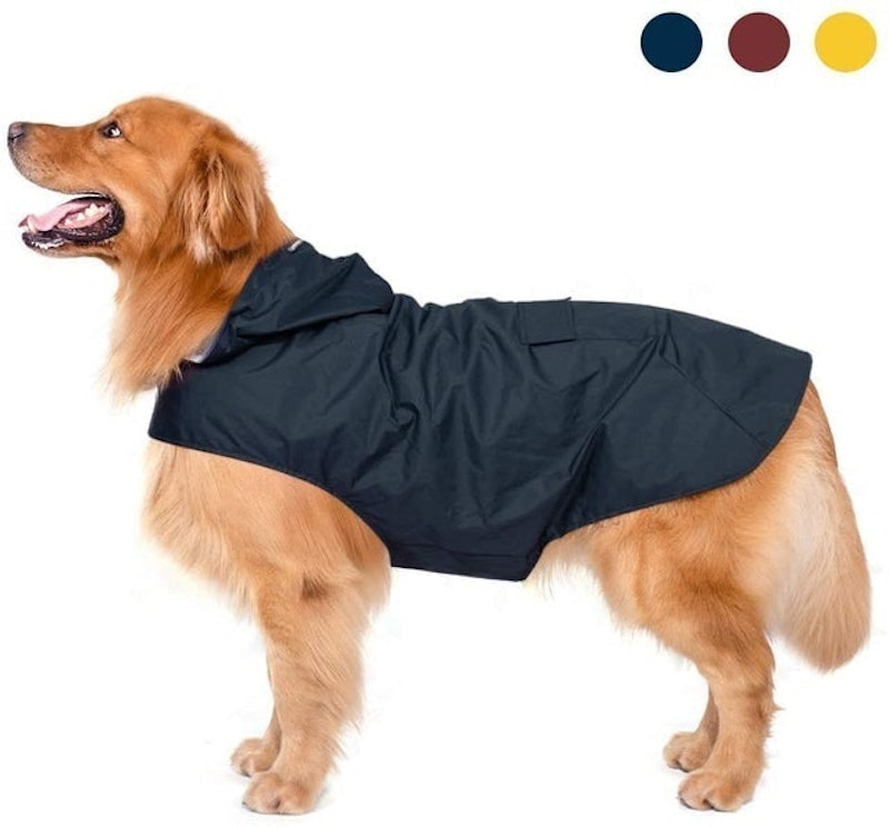 Dog Raincoat 1