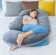 Queen Rose U-shaped Full Body Pillow 1