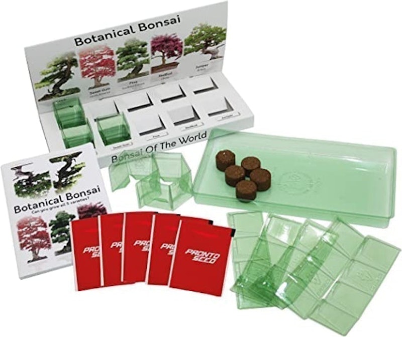 'Bonsai of the World' Grow at Home Kit 2