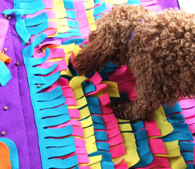 Dog Snuffle Mat 2