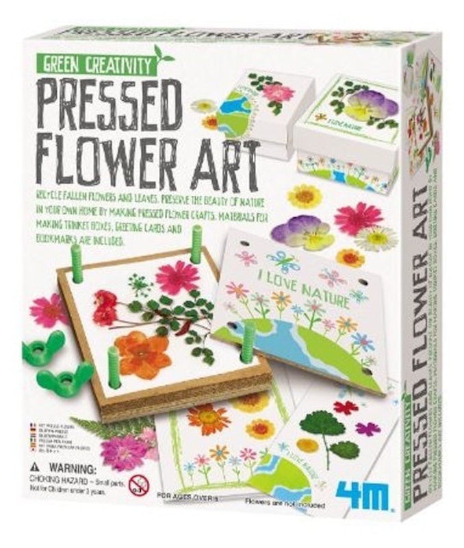 Green Creativity Pressed Flower Art Kit 1