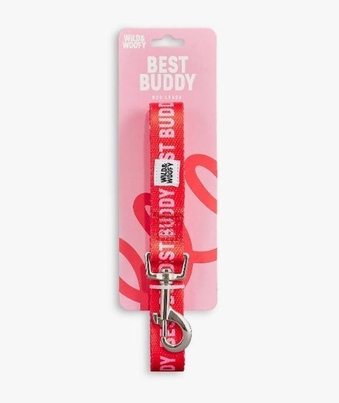 Buddy Dog Leash 2
