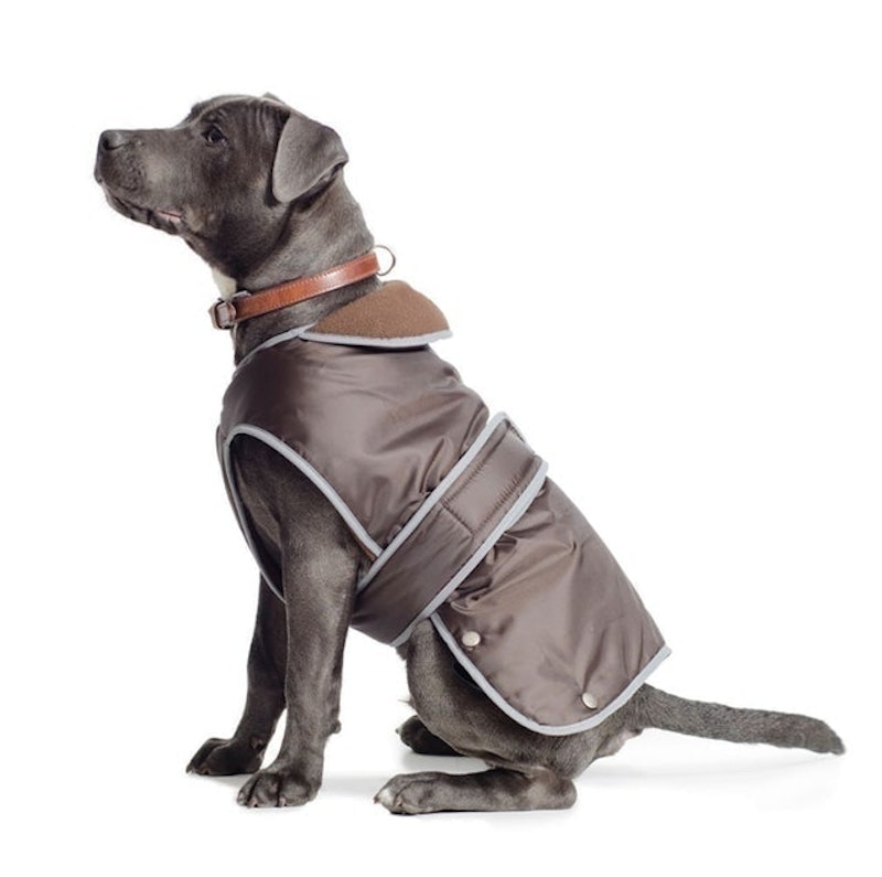 Muddy Paws Stormguard Dog Coat 1