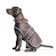 Ancol Muddy Paws Stormguard Dog Coat 1