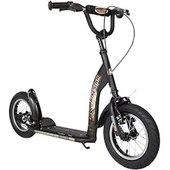 Kick Scooter with Brakes