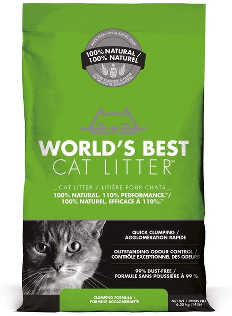 Best cat litter outlet for odour