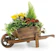 Rustic Garden Supplies Ornamental Wooden Wheelbarrow Planter 1