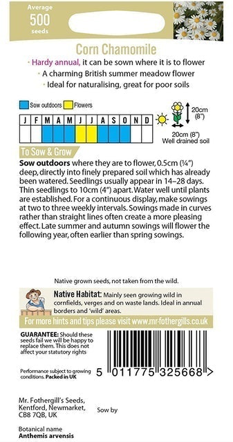 Chamomile Seeds 2