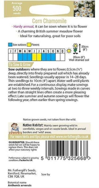 Chamomile Seeds 2