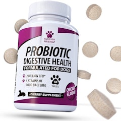 Canine Probiotics & Prebiotics for Digestive Health