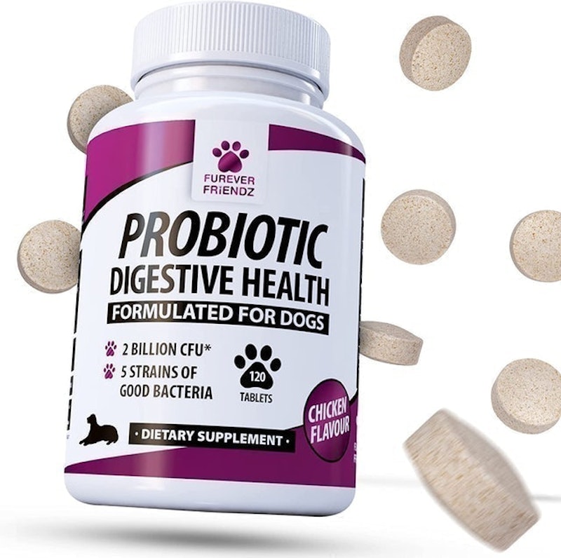 Canine Probiotics & Prebiotics for Digestive Health 1